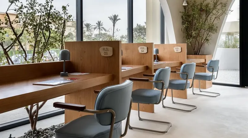 An empty office with desks and natural light